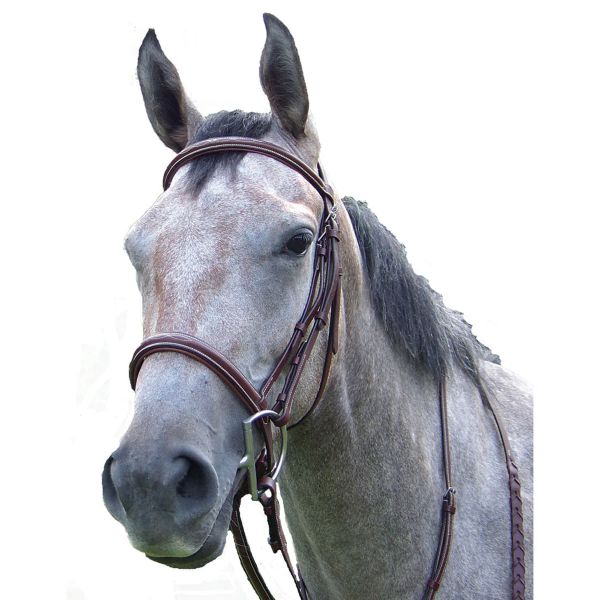 Hunter Trense Pro-Trainer Silver Fancy Raised Padded Bridle - Brown