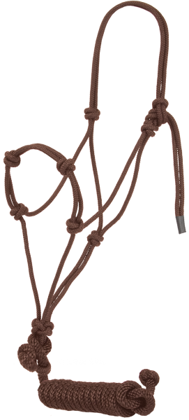 Train Halter W/12ft. Lead