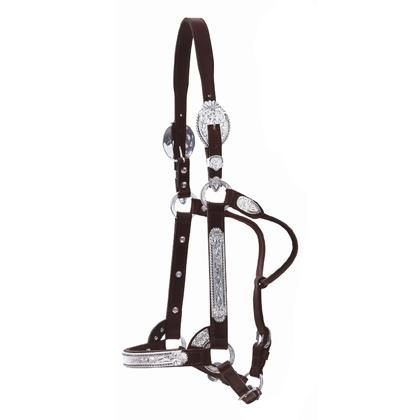 Halter-Fancy Scallop-Black Bead