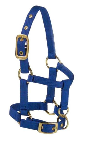 Miniatur Halter Large