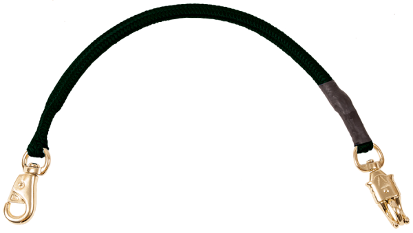 Bungee Trailer Tie